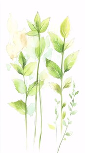 清新水彩风绿色植物插画