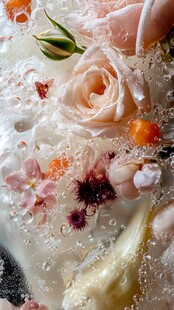 梦幻冰中花卉艺术景观