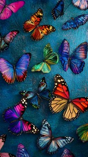 多彩蝴蝶汇聚蓝色背景