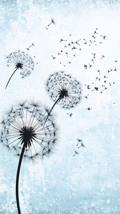 梦幻蒲公英飘飞景象