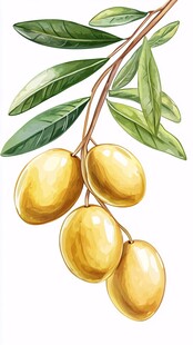 金黄橄榄枝上果实饱满