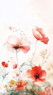 水彩绘就的绚烂虞美人花景