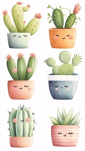 可爱卡通风仙人掌盆栽组合