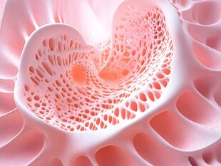 梦幻粉色多孔艺术结构