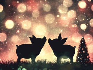 圣诞夜的小猪浪漫剪影