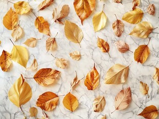 大理石上的缤纷秋叶