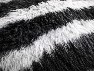 黑白条纹毛绒材质特写
