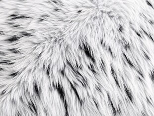 白色毛绒纹理背景图