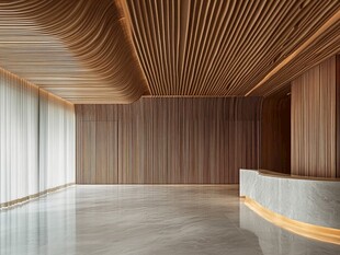 现代木质风格大厅空间设计