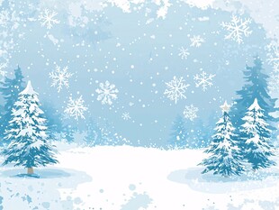 冬日雪景中的静谧松林