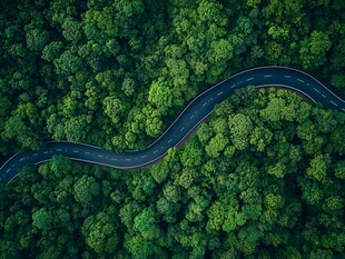 蜿蜒公路穿梭茂密森林