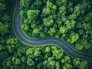 蜿蜒公路穿行翠绿森林