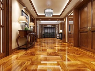 奢华木质走廊室内设计图