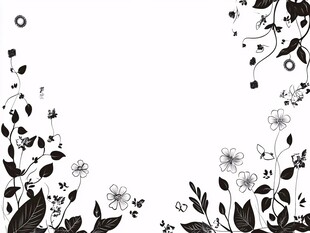 黑白花卉边框装饰图案