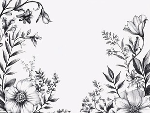 黑白花卉边框插画设计