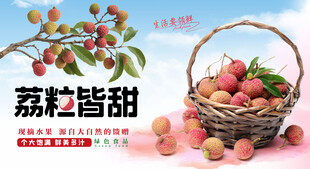 荔枝采摘