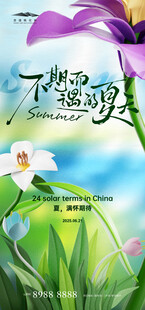 夏至