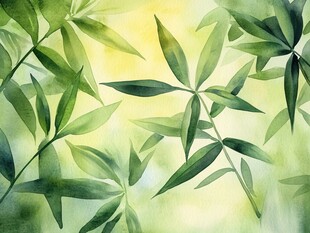 水彩绘就的清新竹叶图景