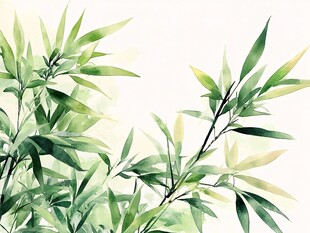 水彩绘就的清新绿竹