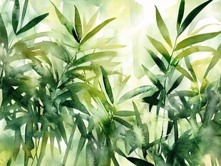 水彩绘就的清新竹林景致