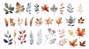 水彩秋叶素材集合