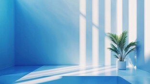 蓝色房间中的绿植光影