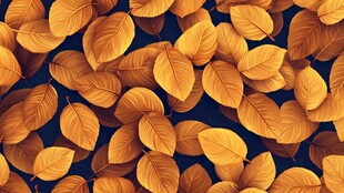 金黄秋叶背景图