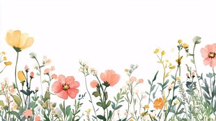 手绘清新花卉植物边框图