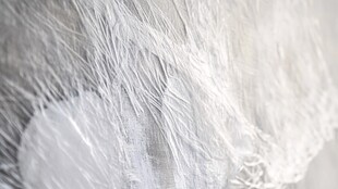 白色丝状纤维特写画面