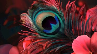 孔雀羽与花卉的梦幻组合