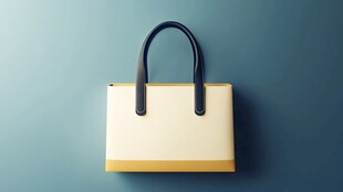 简约双色手提包展示