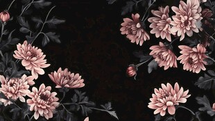 墨底粉菊花卉图案