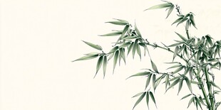 水墨风绿竹枝特写