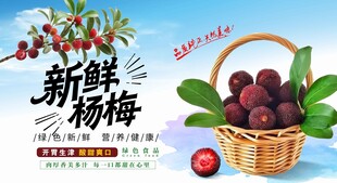 新鲜杨梅