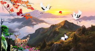 黄山日出云海