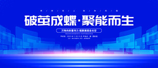 会议背景