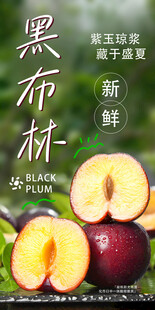 黑布林 