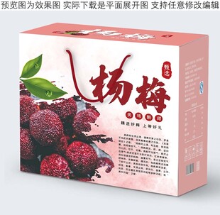 杨梅礼盒