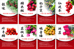 荔枝海报