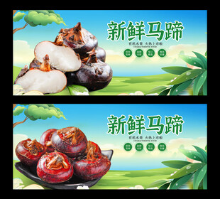马蹄