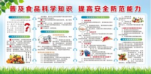 食品安全宣传栏