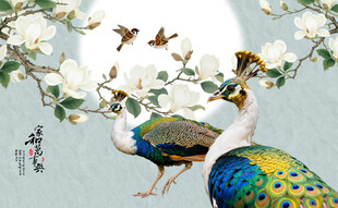 轻奢玉兰花孔雀装饰画
