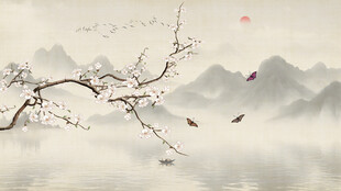 花鸟背景