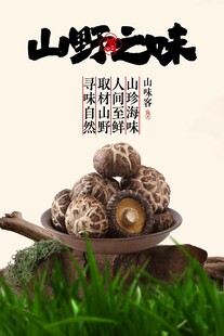 蘑菇山菌美食促销海报