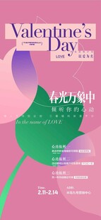 中国传统二十四节气情人节海报