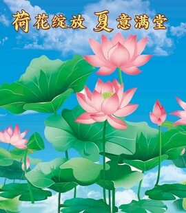 夏日绽放的美丽荷花