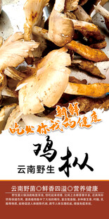 野生菌海报