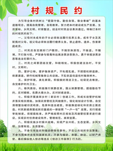 村规民约