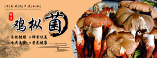 野生菌广告  