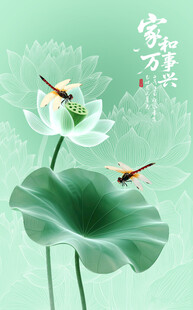 荷花插画